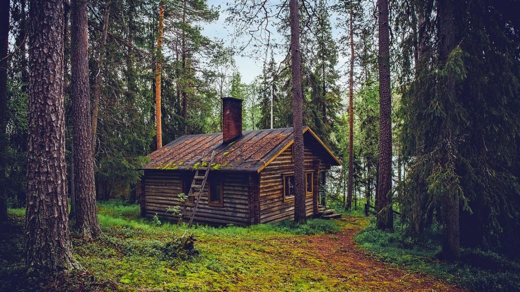 Maison à ossature en bois : les avantages