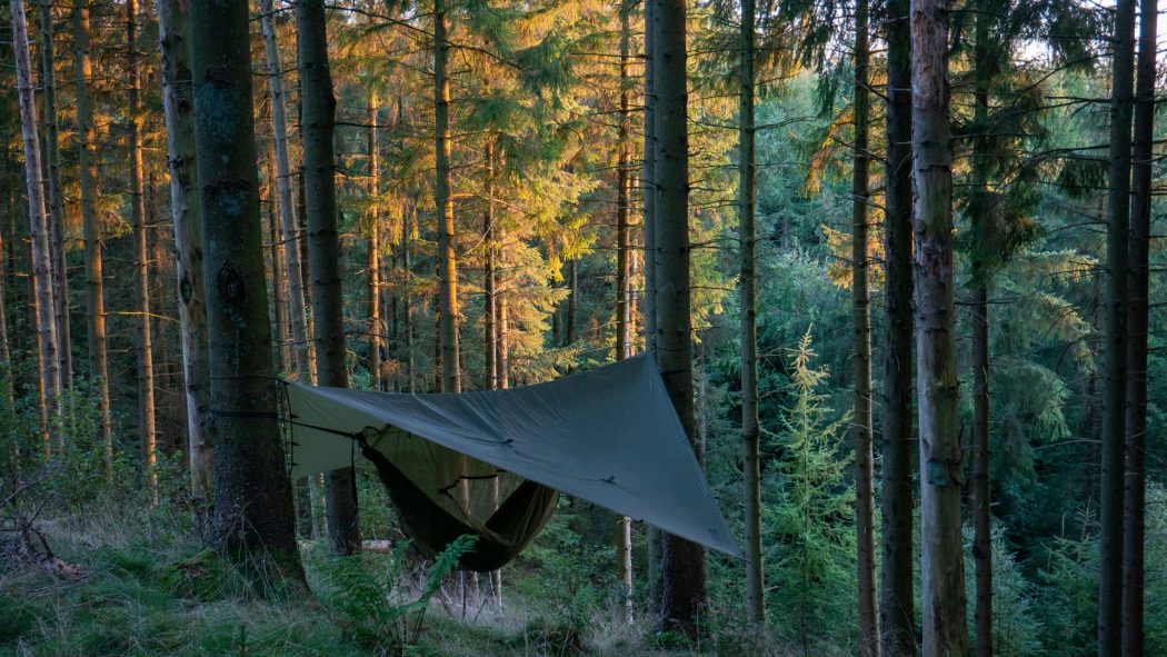 Comment choisir le meilleur tarp pour vos aventures en plein air !